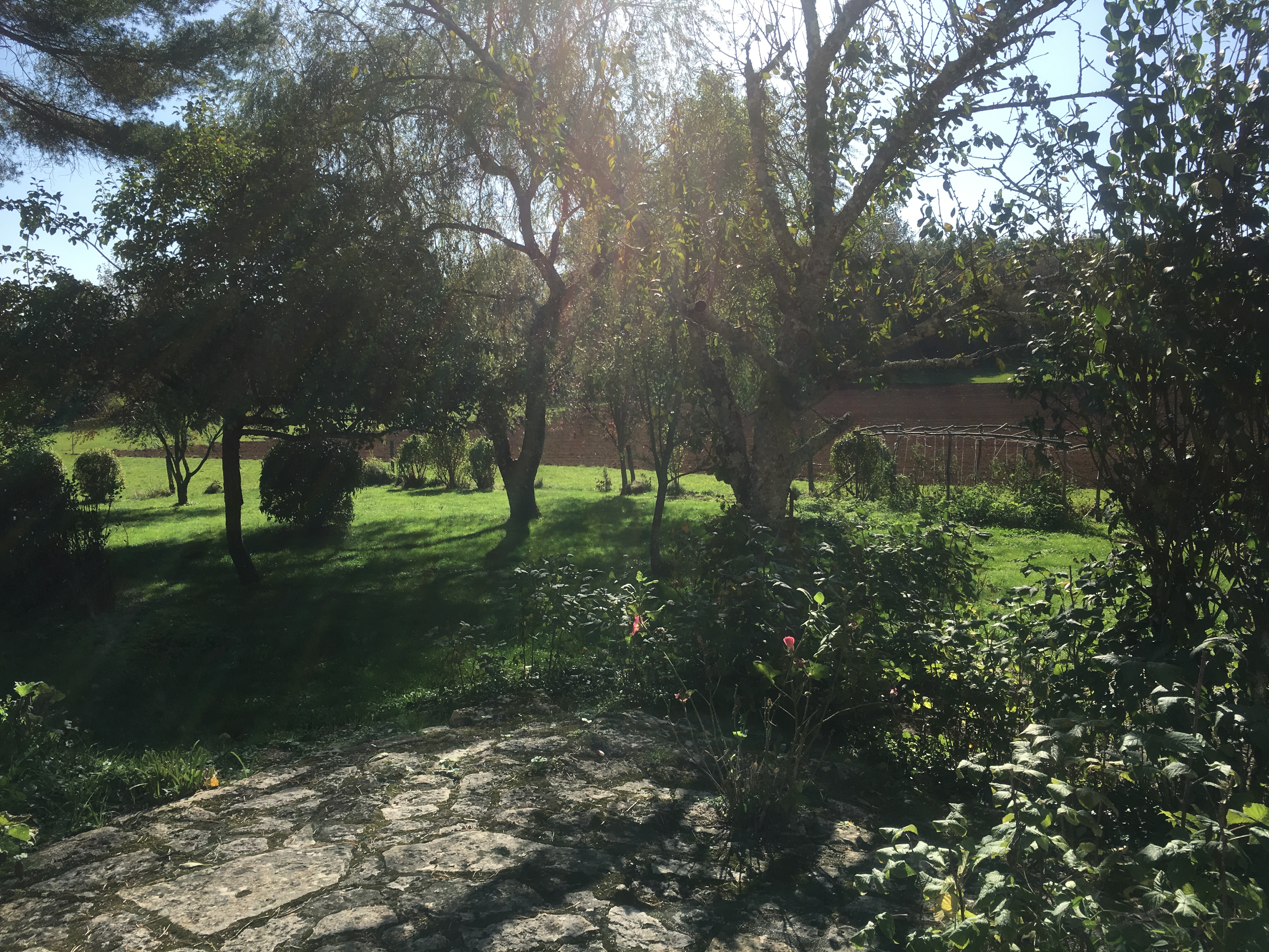 Photo du terrain du gîte